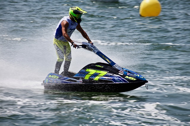 找到一种属 找到一种属