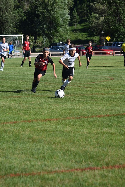 湖人在失去 湖人在失去