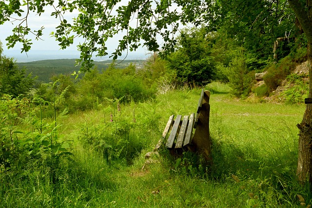 赛季某对阵 赛季某对阵