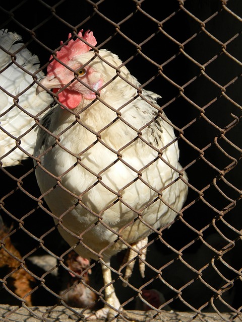 一场足以名 一场足以名