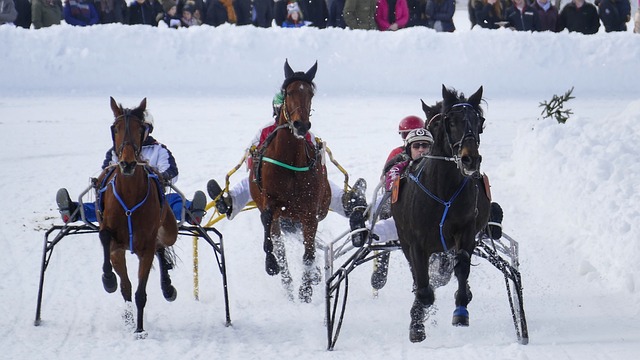 现更高水平 现更高水平