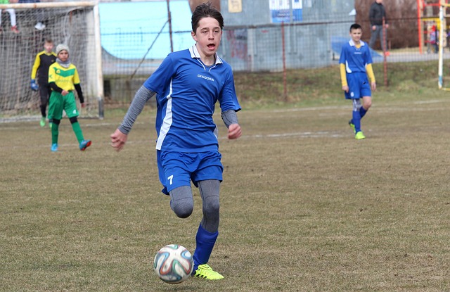 布莱顿的后 布莱顿的后