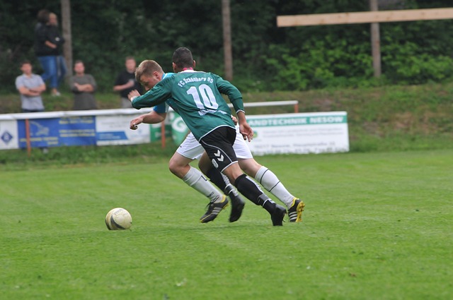 快船126-113力克尼克斯，重返第六！2将满分，3将合格，3将迷失.