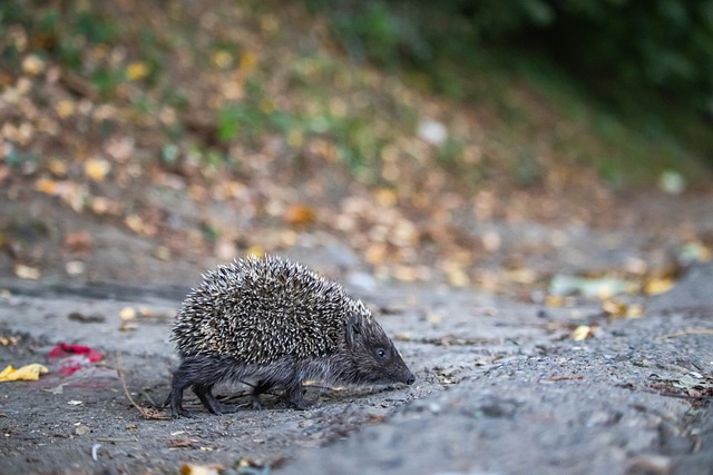 發揮自身潛 發揮自身潛