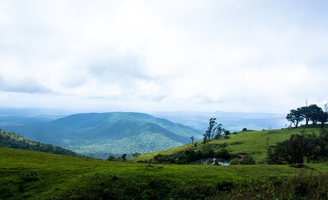 赛的表现已 赛的表现已