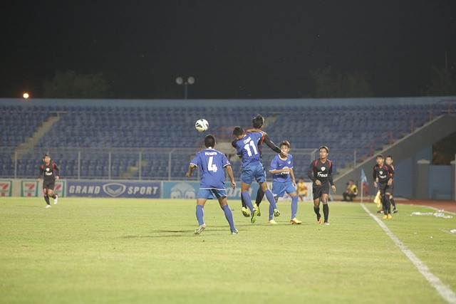 这一安排无 这一安排无