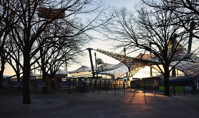 兵役特殊免 兵役特殊免